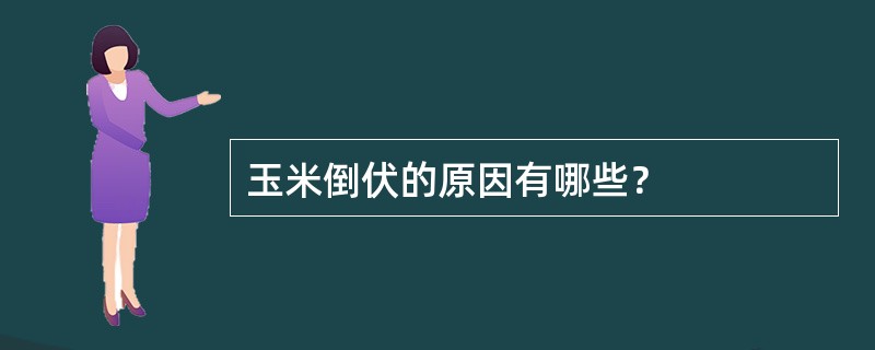 玉米倒伏的原因有哪些？