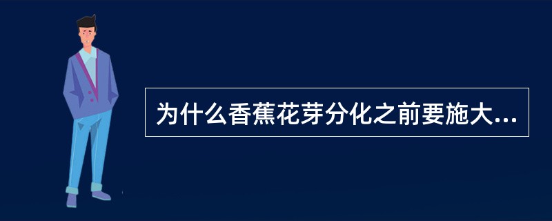 为什么香蕉花芽分化之前要施大肥？