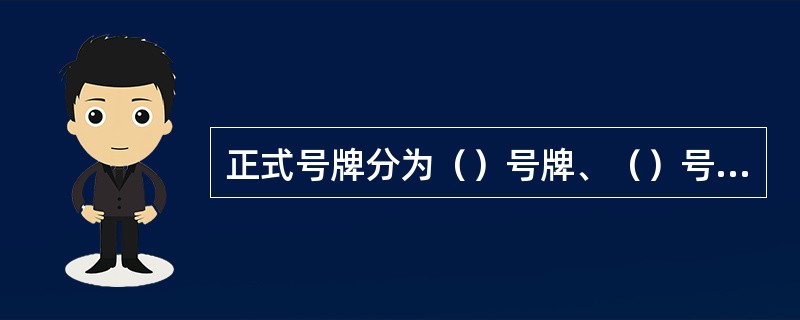 正式号牌分为（）号牌、（）号牌和摩托车号牌。