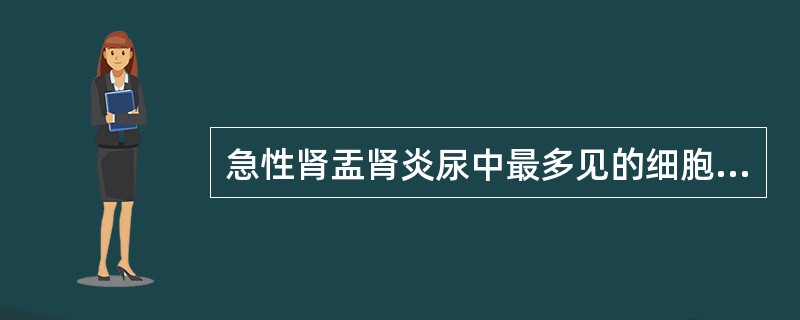 急性肾盂肾炎尿中最多见的细胞是（）