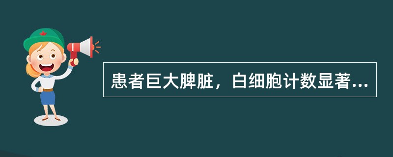 患者巨大脾脏，白细胞计数显著增高，可达50.0×109/L，并见少许