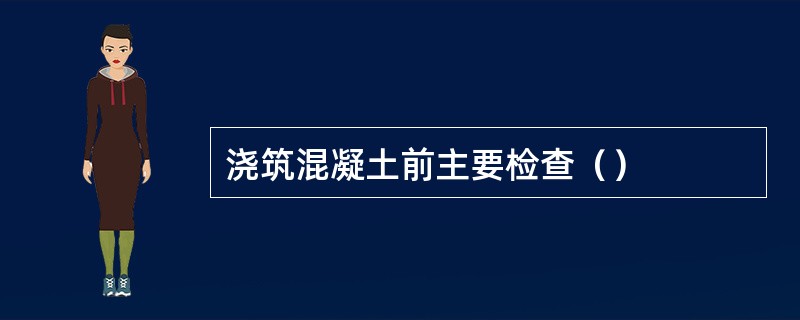 浇筑混凝土前主要检查（）