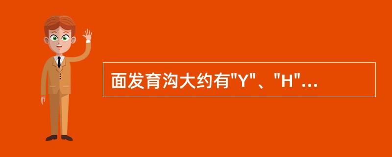 面发育沟大约有"Y"、"H"、"U"形的牙是（）.