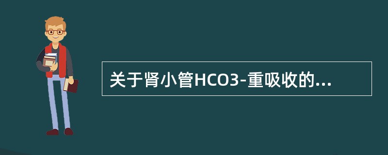 关于肾小管HCO3-重吸收的叙述，错误的是（）