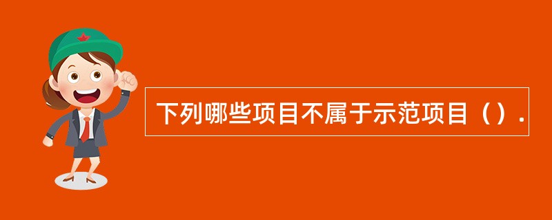 下列哪些项目不属于示范项目（）.