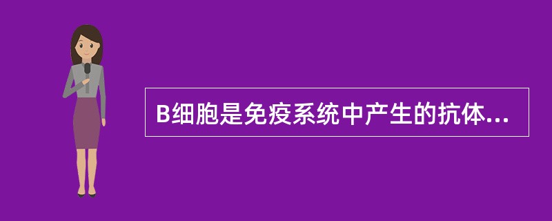 B细胞是免疫系统中产生的抗体细胞，它不存在于（）。