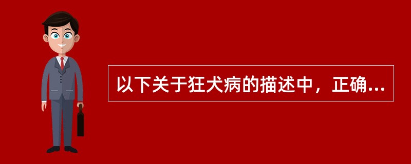 以下关于狂犬病的描述中，正确的是（）。