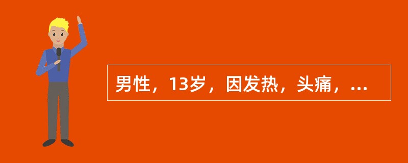 男性，13岁，因发热，头痛，皮疹2天入院。入院检查：急性病容，皮疹出现于躯干、头