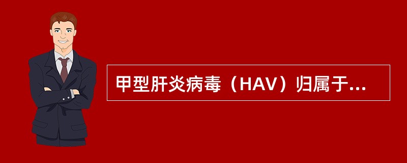 甲型肝炎病毒（HAV）归属于（）。