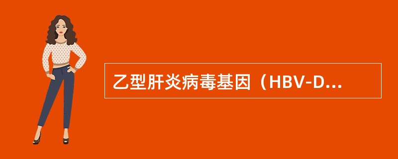 乙型肝炎病毒基因（HBV-DNA）全长3.2Kb，有四个开放读码框架，分别编码H