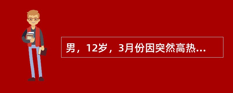 男，12岁，3月份因突然高热，头痛，频繁呕吐入院，全身皮肤黏膜瘀斑不断增加，融合