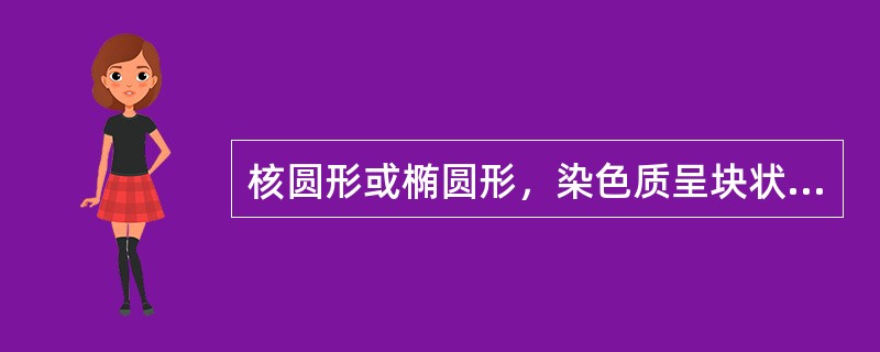 核圆形或椭圆形，染色质呈块状，核仁消失，胞浆嗜多色性，符合似下哪种细胞的特点（）