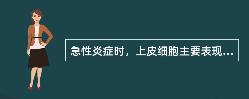 急性炎症时，上皮细胞主要表现为（）