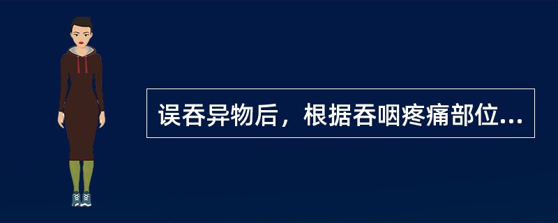 误吞异物后，根据吞咽疼痛部位判断异物位置哪项不正确（）