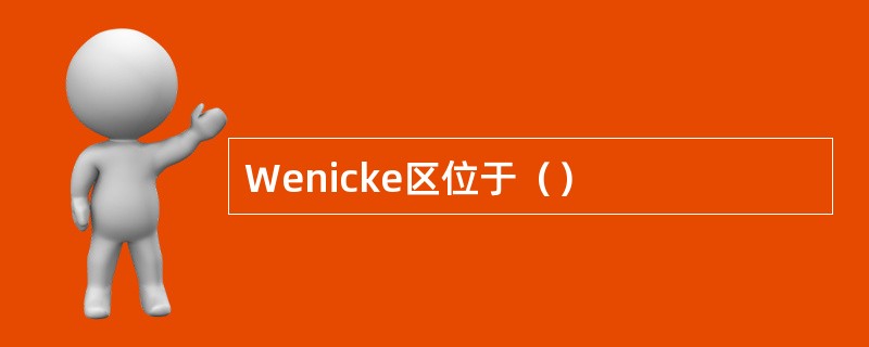 Wenicke区位于（）