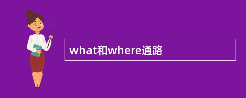 what和where通路
