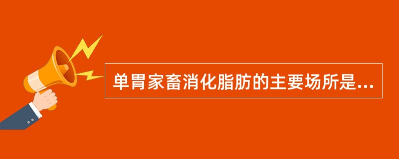 单胃家畜消化脂肪的主要场所是在（），反刍家畜对脂肪的消化是在（）内受（）作用，将