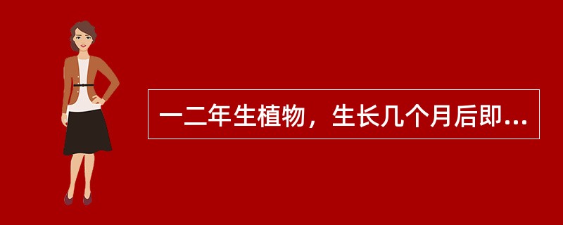 一二年生植物，生长几个月后即行开花，一生中仅开（）花。