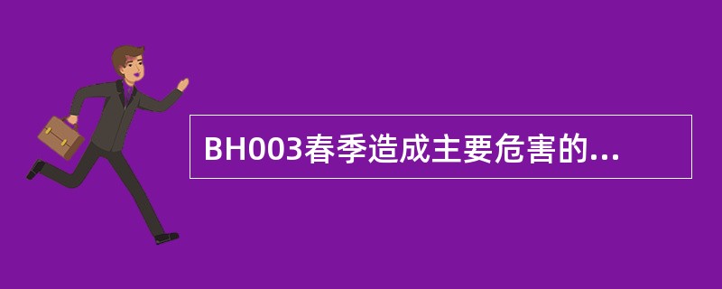 BH003春季造成主要危害的草坪杂草是（）双子叶杂草。