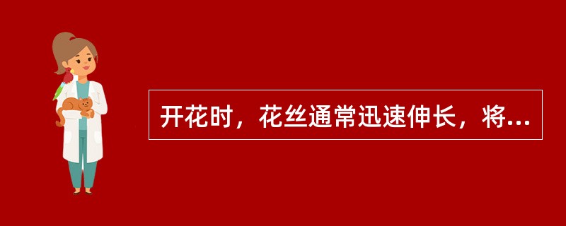 开花时，花丝通常迅速伸长，将（）伸出，以利于传粉。