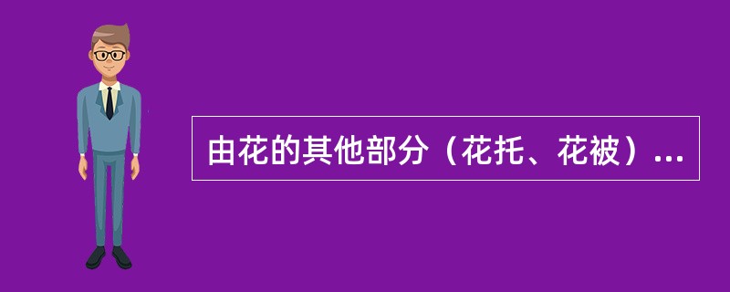 由花的其他部分（花托、花被）参加发育与子房一起形成的果实称为（）。