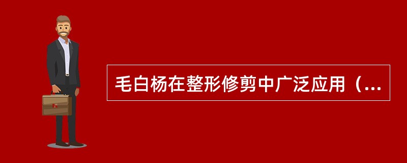 毛白杨在整形修剪中广泛应用（）修剪。