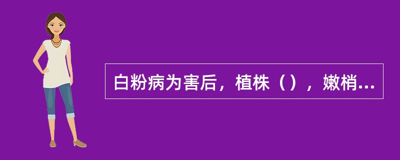 白粉病为害后，植株（），嫩梢弯曲。