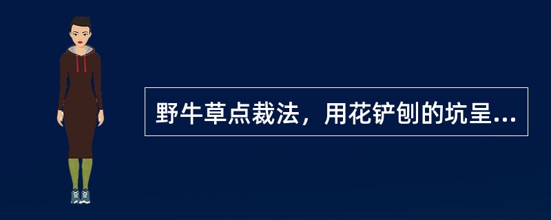 野牛草点裁法，用花铲刨的坑呈（）。