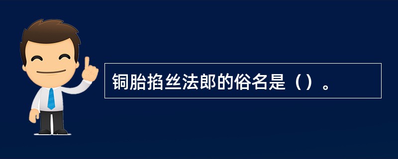 铜胎掐丝法郎的俗名是（）。