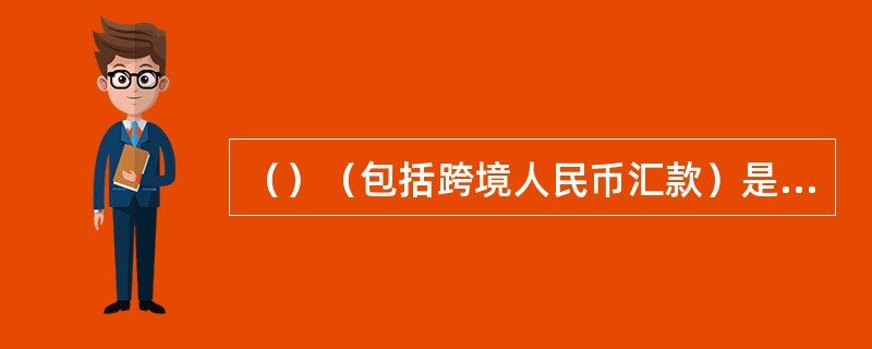 （）（包括跨境人民币汇款）是指所有非银行机构（简称机构）和个人通过中国境内银行以