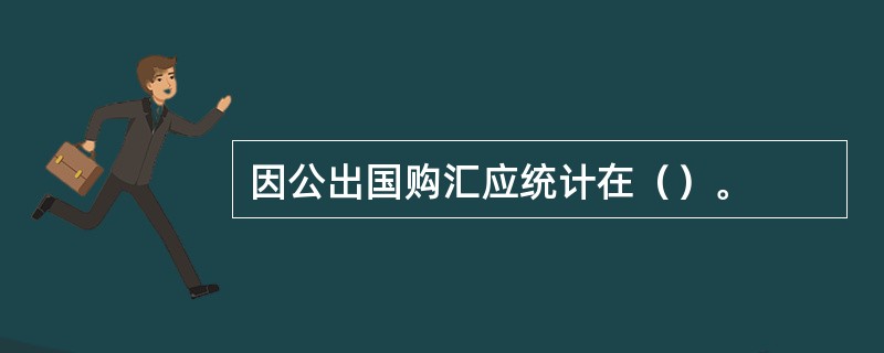 因公出国购汇应统计在（）。