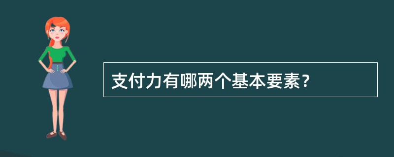 支付力有哪两个基本要素？