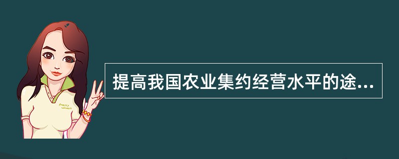 提高我国农业集约经营水平的途径是什么？