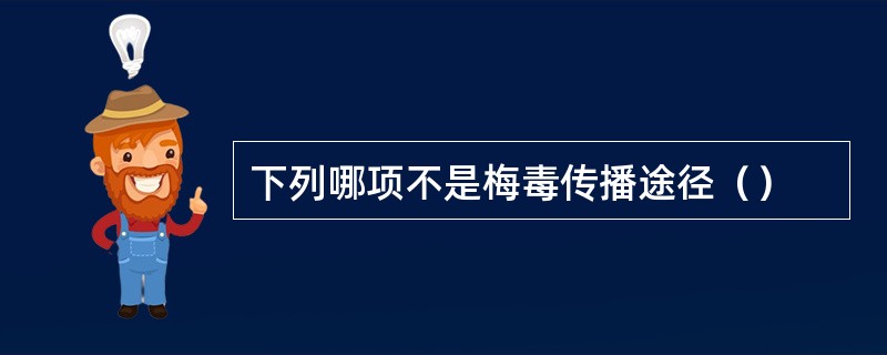 下列哪项不是梅毒传播途径（）