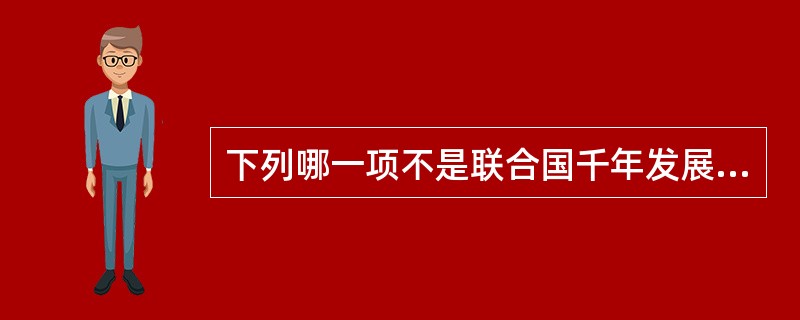 下列哪一项不是联合国千年发展目标？（）