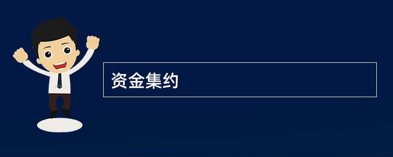 资金集约
