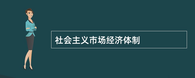 社会主义市场经济体制