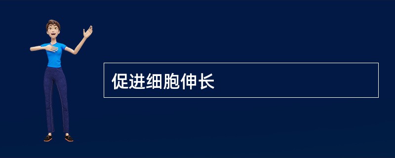 促进细胞伸长