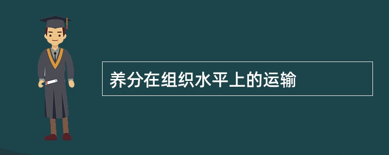 养分在组织水平上的运输