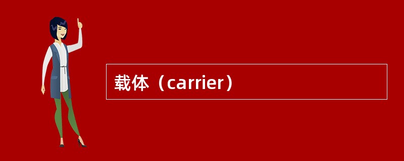 载体（carrier）