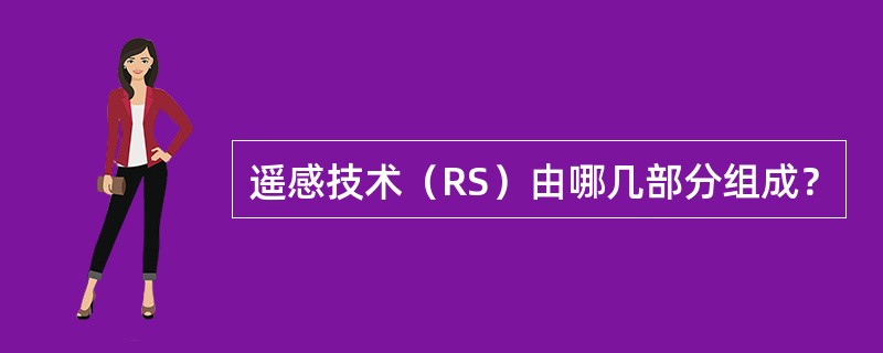 遥感技术（RS）由哪几部分组成？