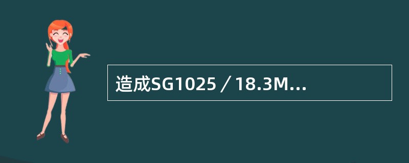 造成SG1025／18.3M317型锅炉灭火的原因有哪些？