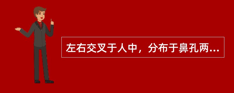 左右交叉于人中，分布于鼻孔两侧的经脉是（）