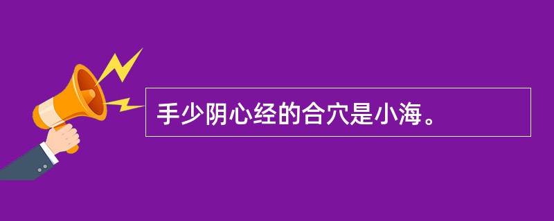 手少阴心经的合穴是小海。