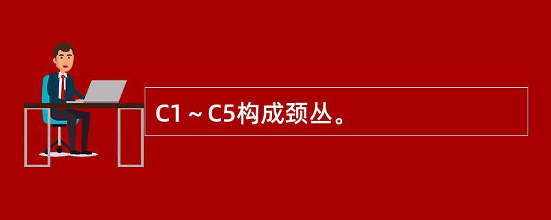 C1～C5构成颈丛。