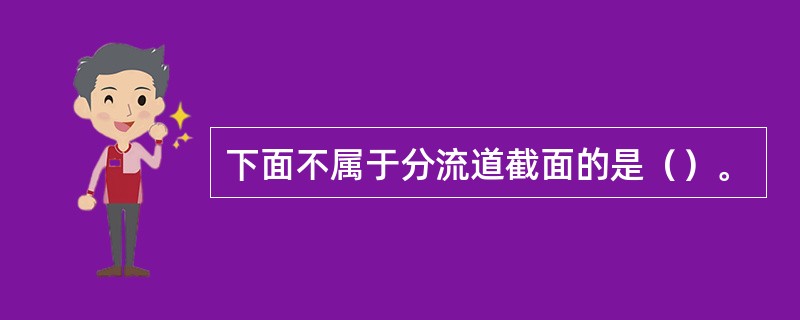 下面不属于分流道截面的是（）。