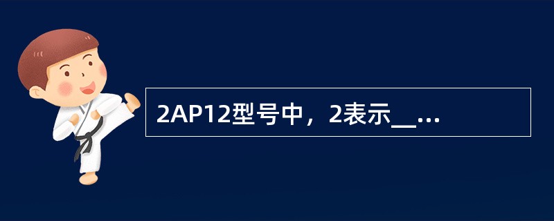 2AP12型号中，2表示_____、A表示_____、P表示______、12表