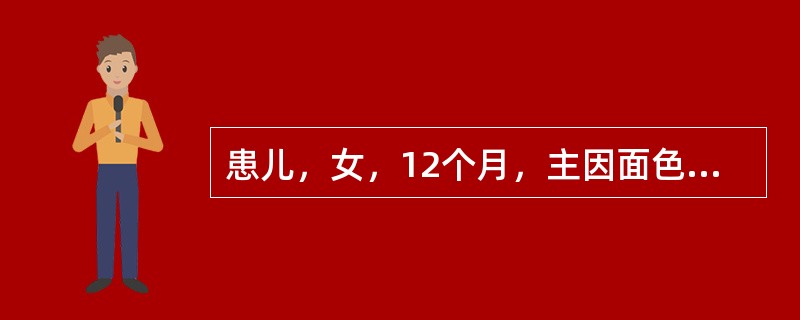 患儿，女，12个月，主因面色苍白1个月住院。1个月来，家长发现患儿面色苍白越来越