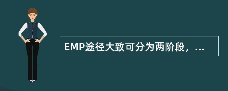 EMP途径大致可分为两阶段，第一阶段为（），只生成两分子（）的主要中间产物，第二