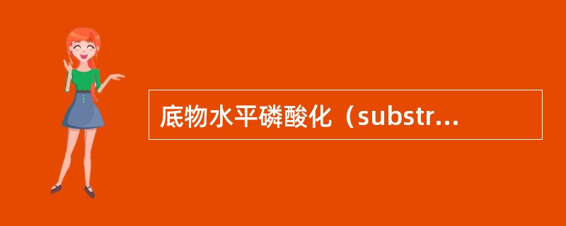 底物水平磷酸化（substrate—level phosphorylation）